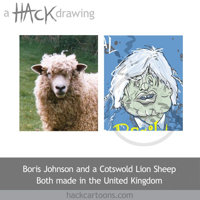 Cartoon caricature of Boris Johnson, mayor of London and a sheep. Artwork by Matt Buck Hack cartoons. Copyright and all visual rights: in the drawing (on the right as you look at it): Matt Buck. Copyright in the photograph (on the left as you look at it) Steven Mathieson